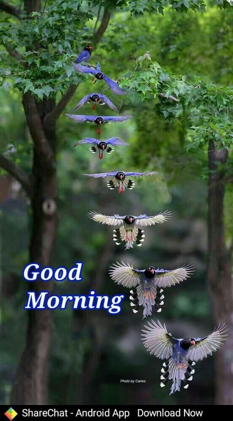 Aslam