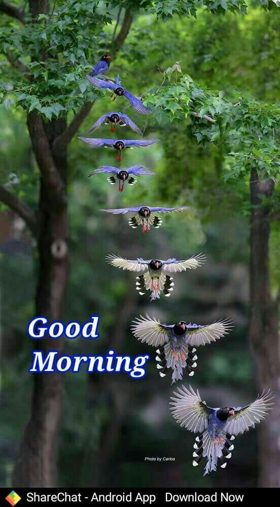 Aslam