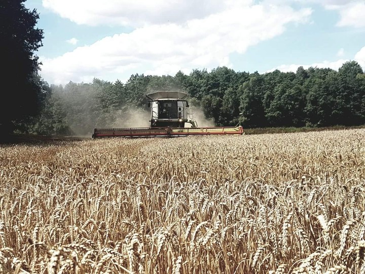 Harvest