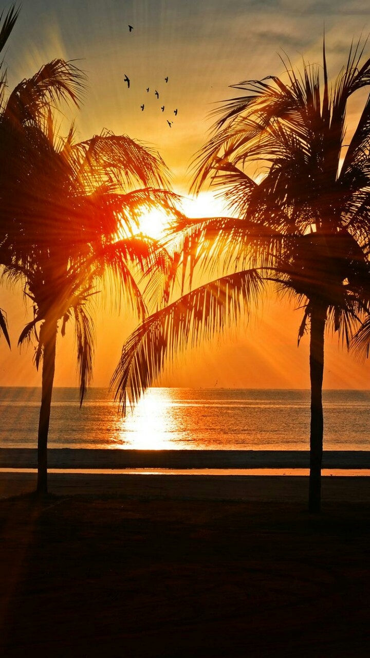 I want to go there