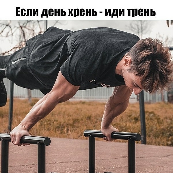 тренировка