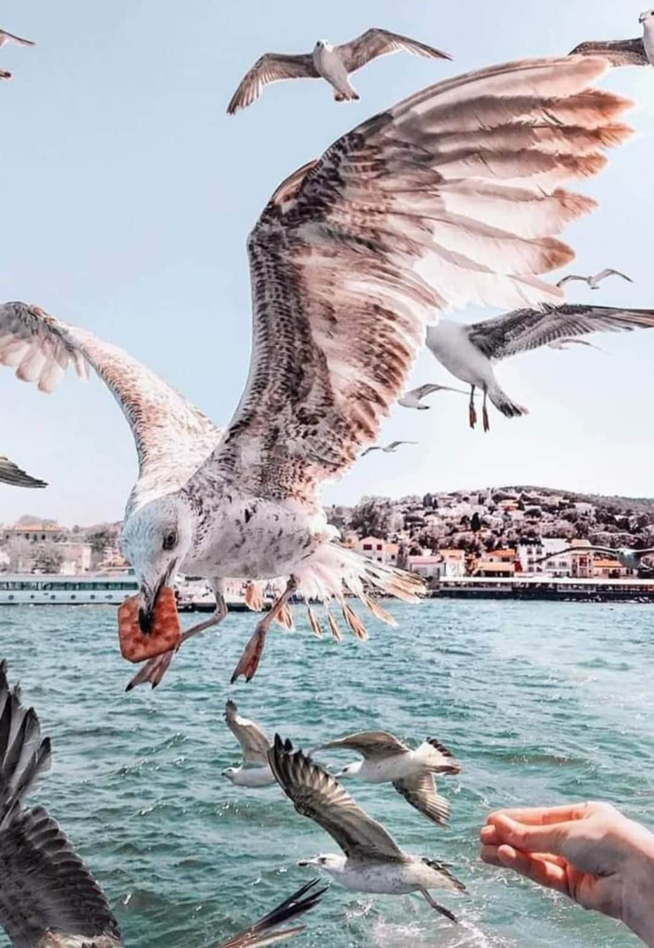 Türkiye