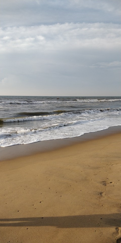 Sea shore