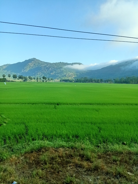 Viet Nam