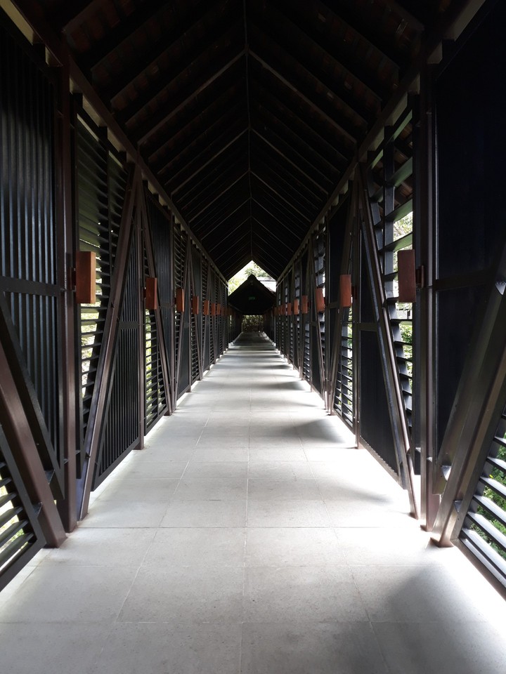 bridge2