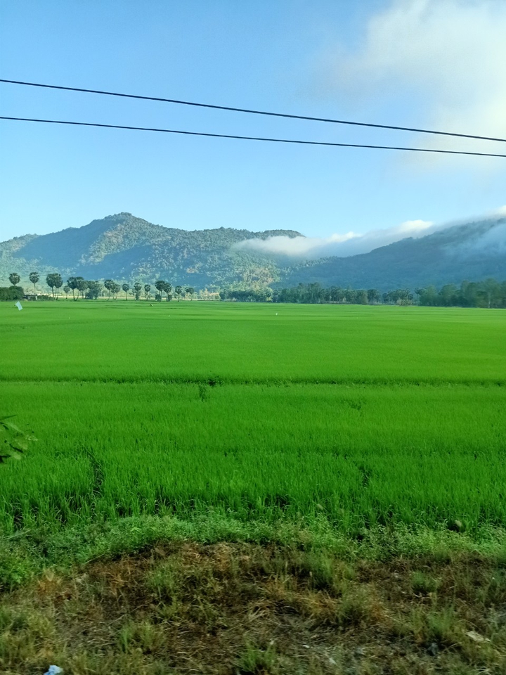 Viet Nam