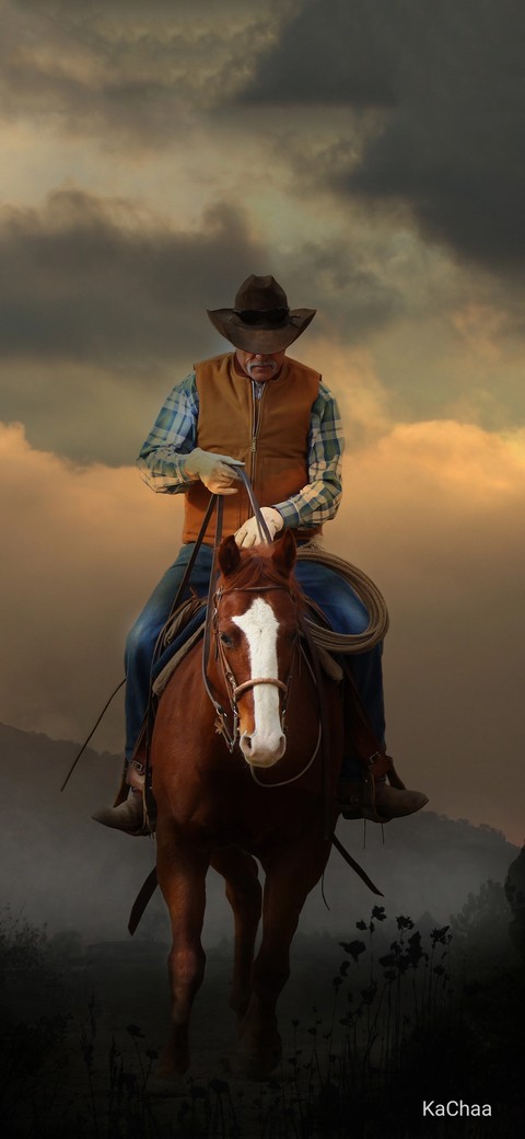 horse