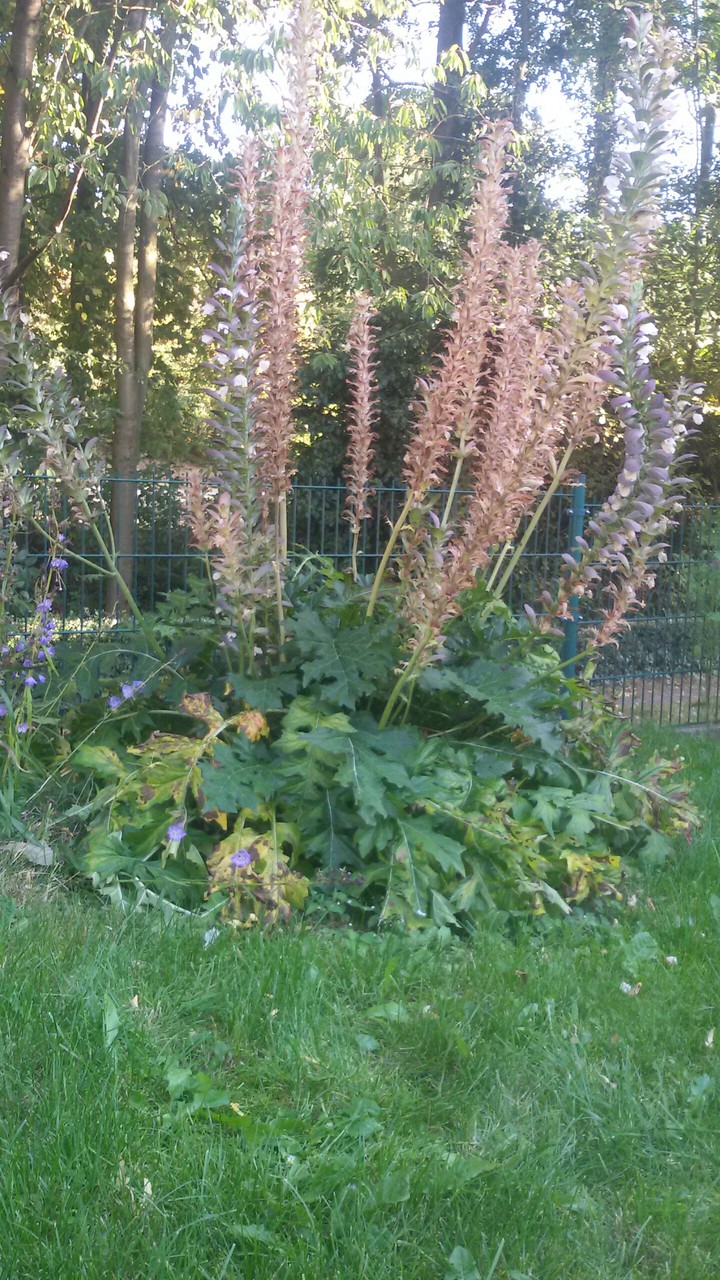 Herbstgarten