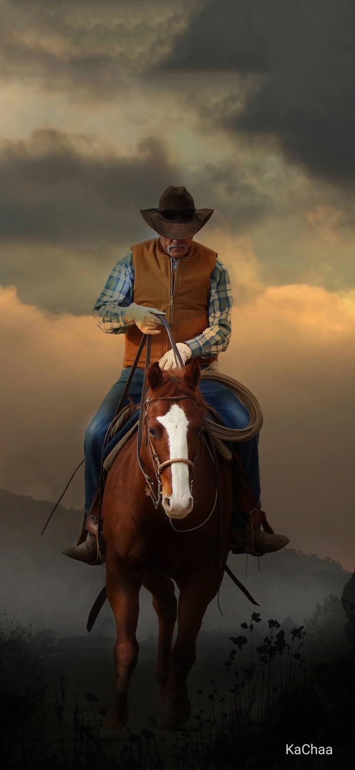 horse