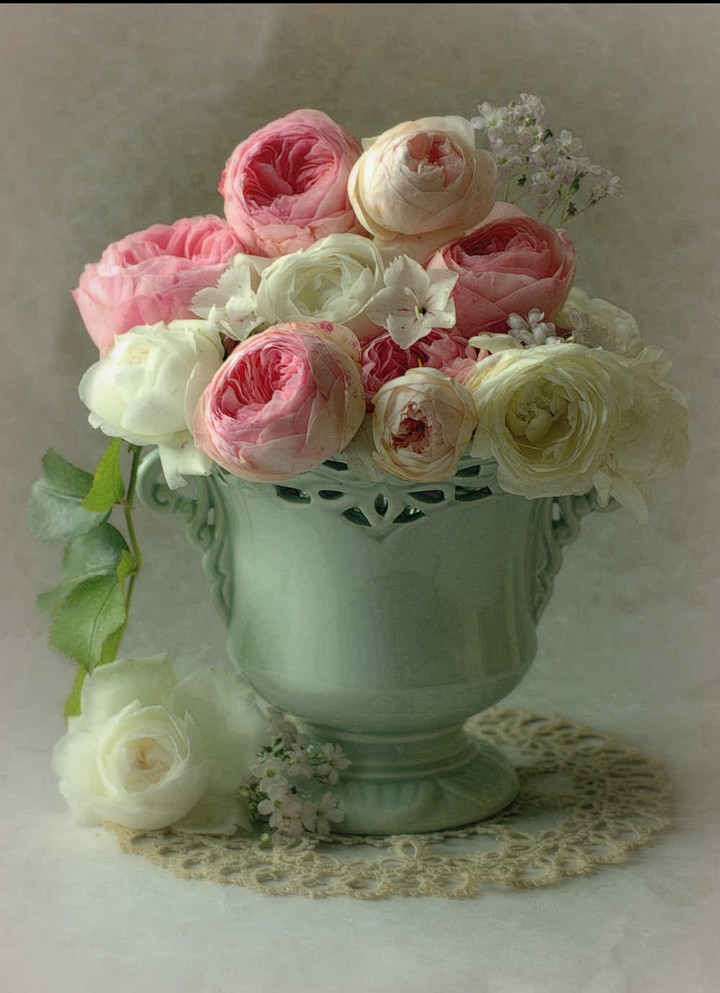 sweet Roses