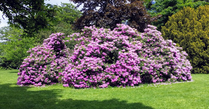 Oosterbeek, The Netherlands.