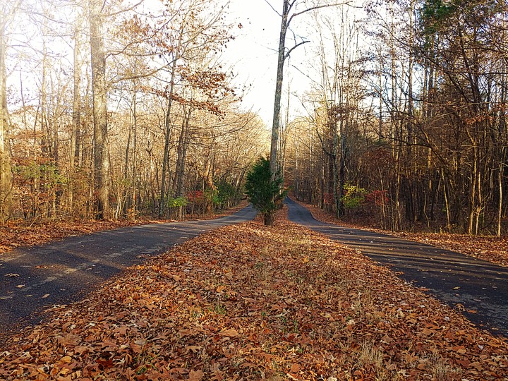 Quiet Road