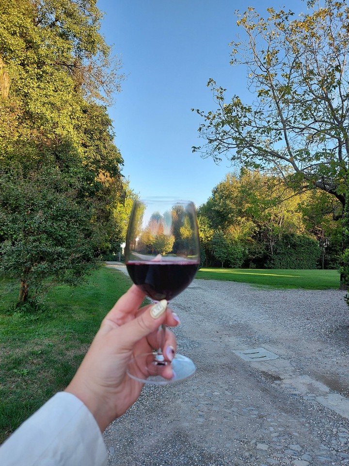 Lambrusco day