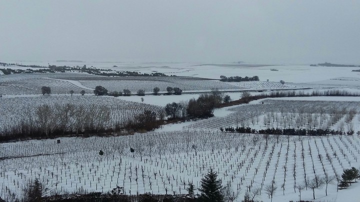 Campos nevados