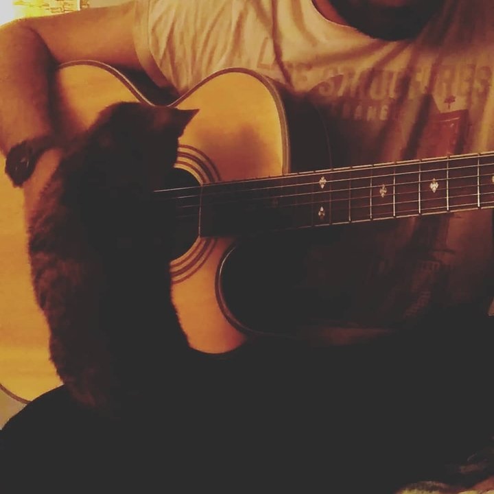 acustic music guitar