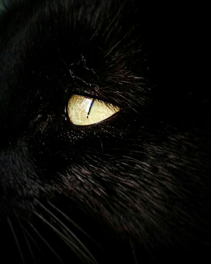 ~Una sola mirada~