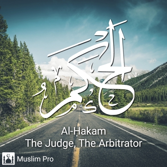 the judge