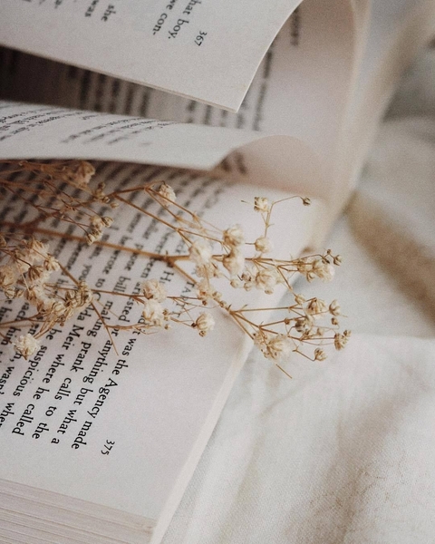 Books and flowers