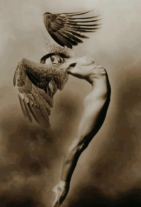 angel