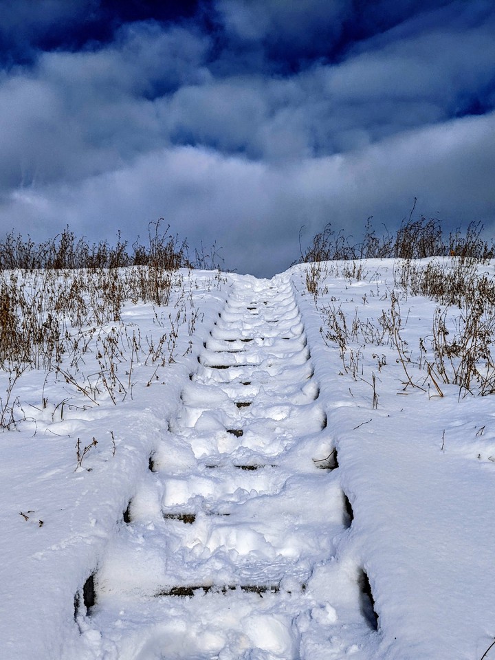 winter