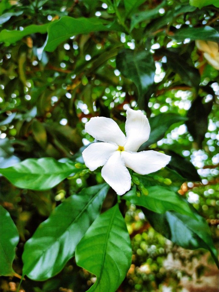 my click