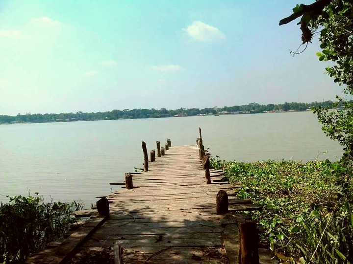 nature