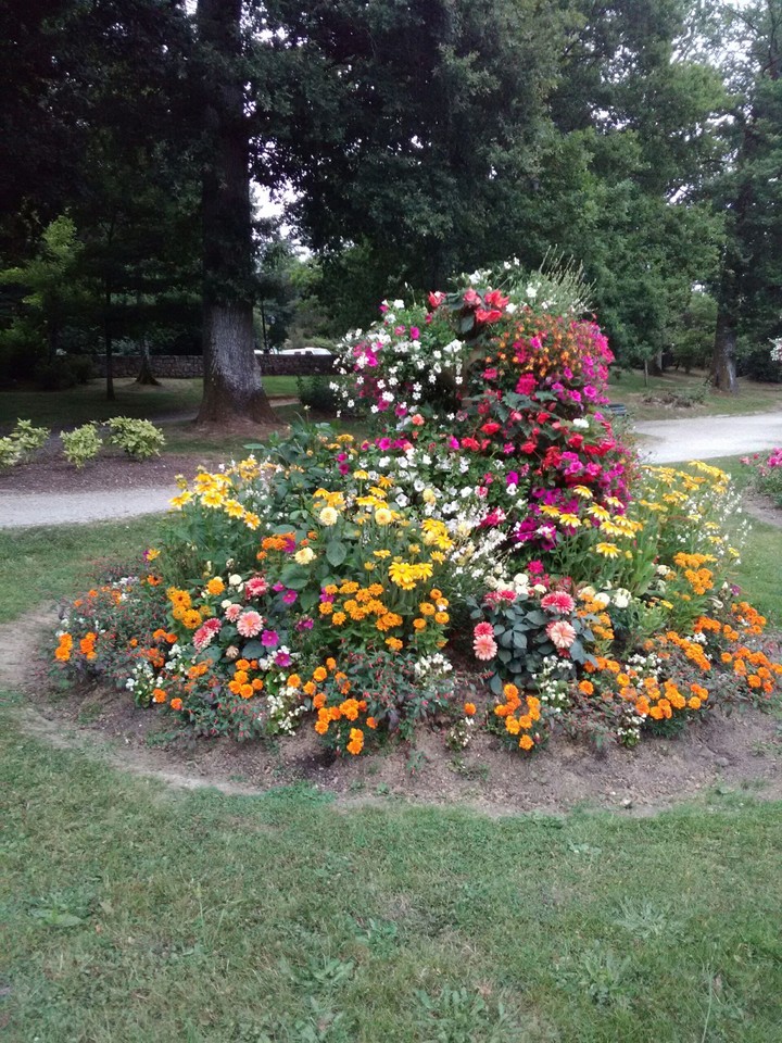 Par terre de fleurs