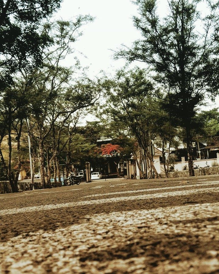 road to be taken