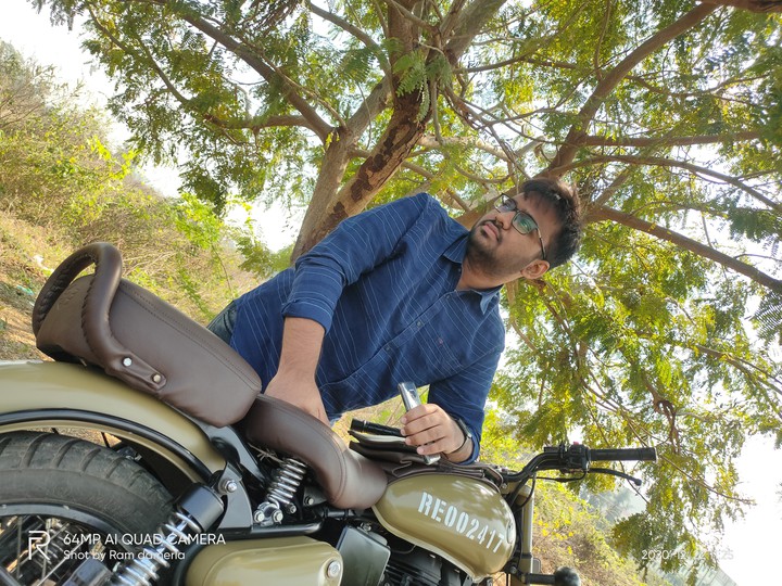 rams