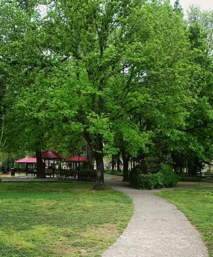 باغ محتشم، رشت