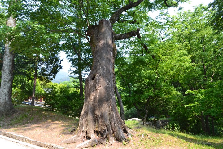 산이미지