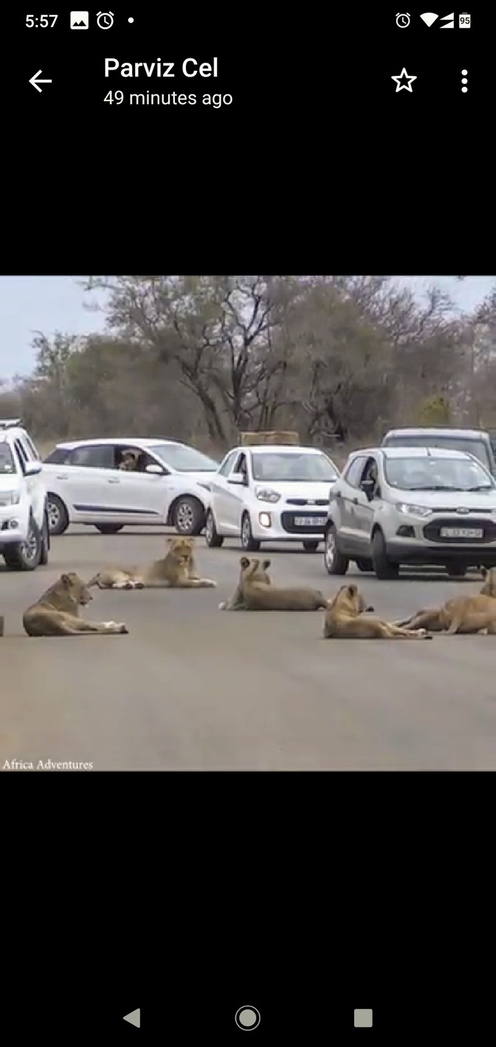 taking rest