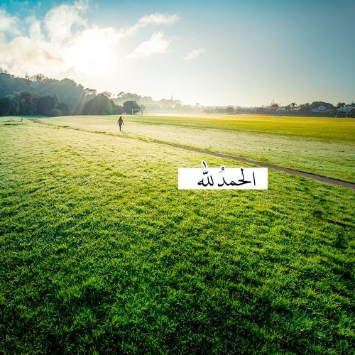 ديني islamic