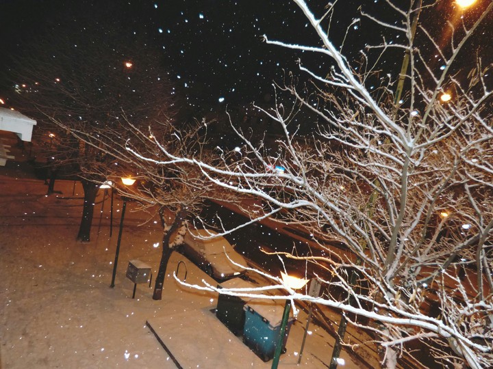 Winter night