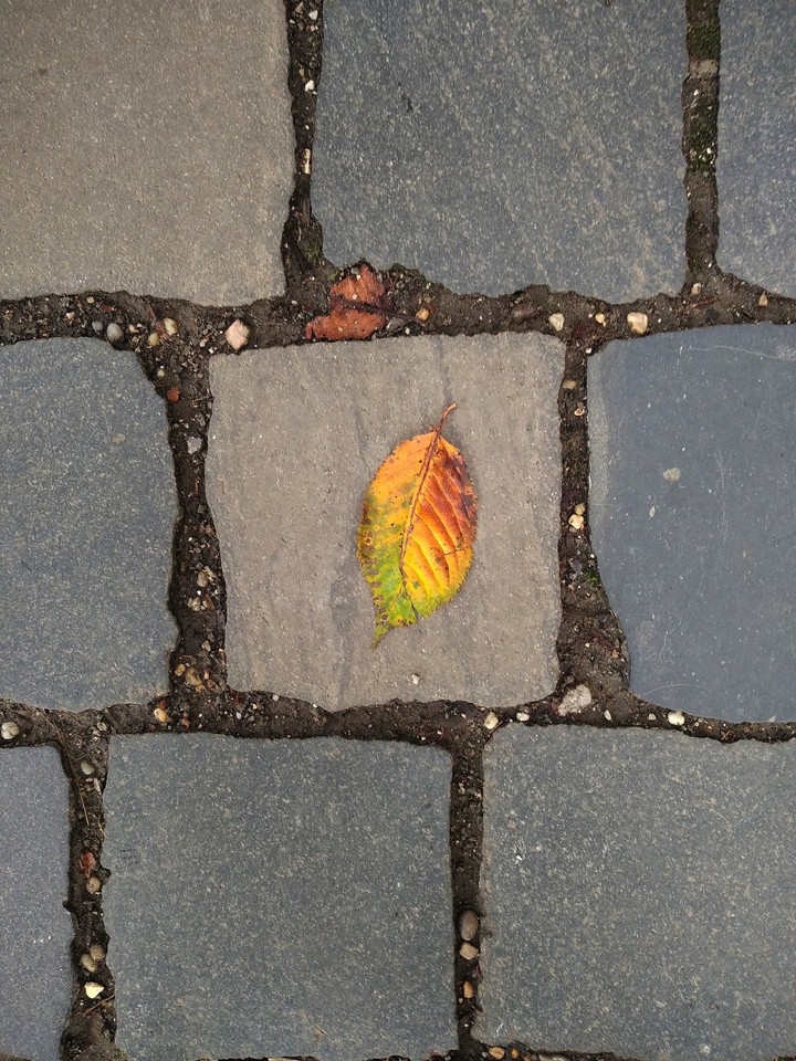 Colors are everywhere