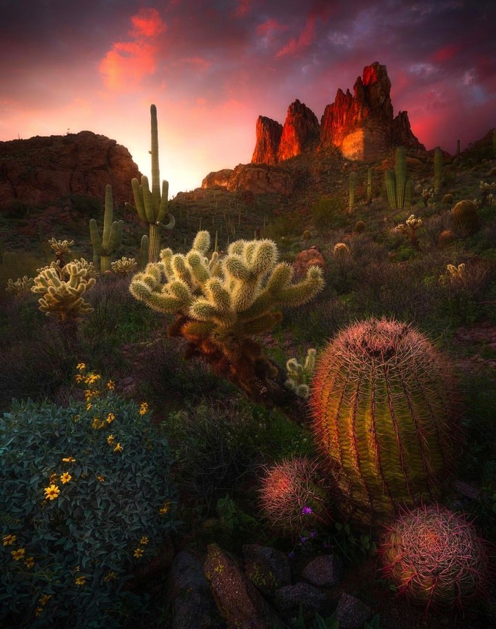 Superstition Mountains