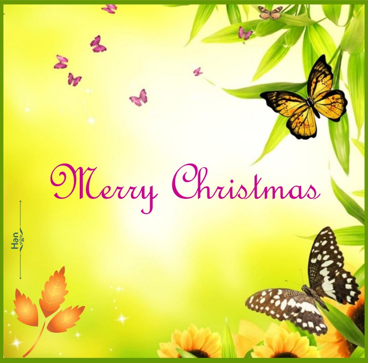Merry Christmas