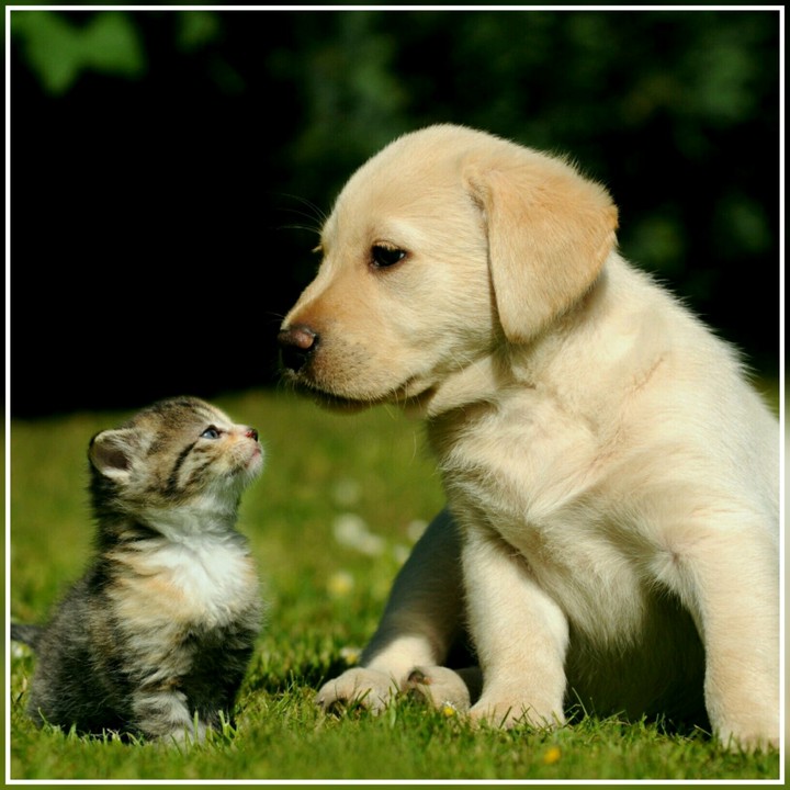 Coisas lindas do universo.... 