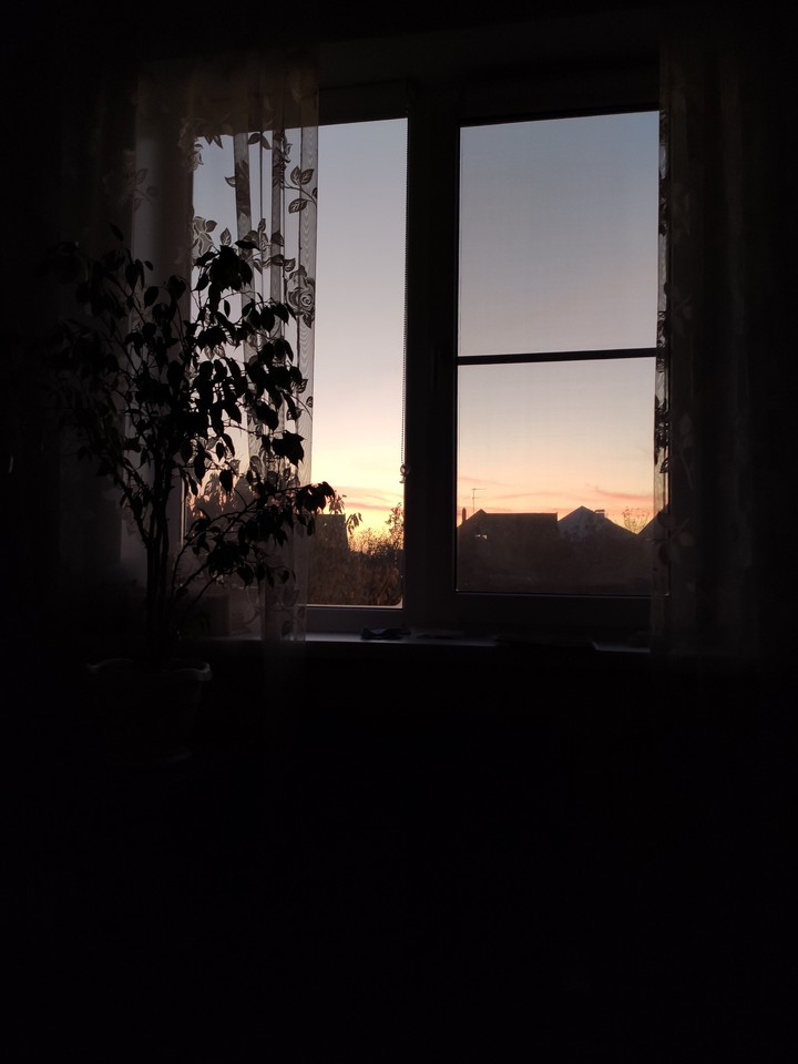 Morning at home
