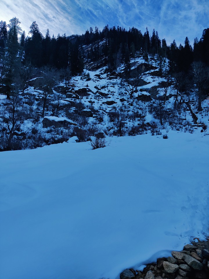 nature