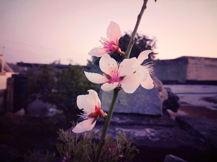 COLOR'S OF NATURE