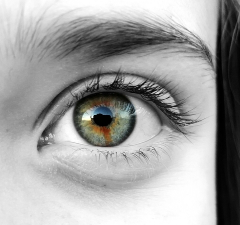 Eye