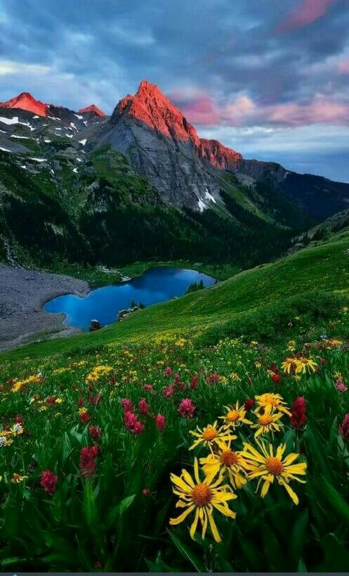 nature