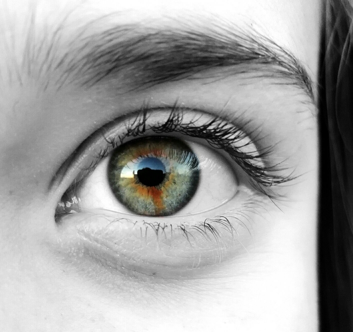 Eye