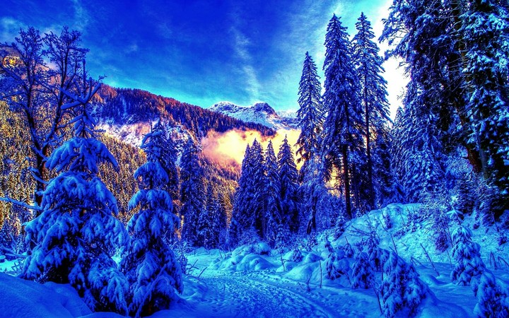Winter
