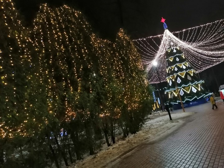 елка