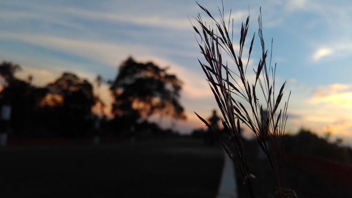 evening