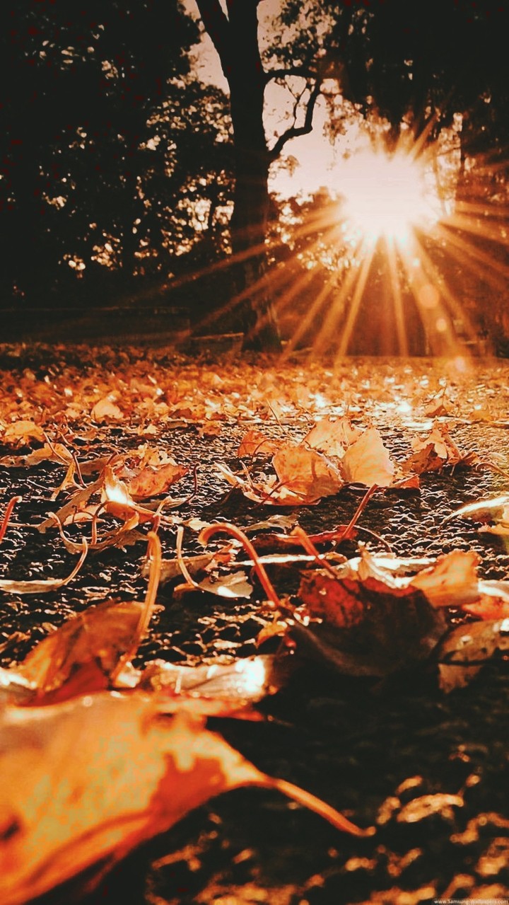 autumn