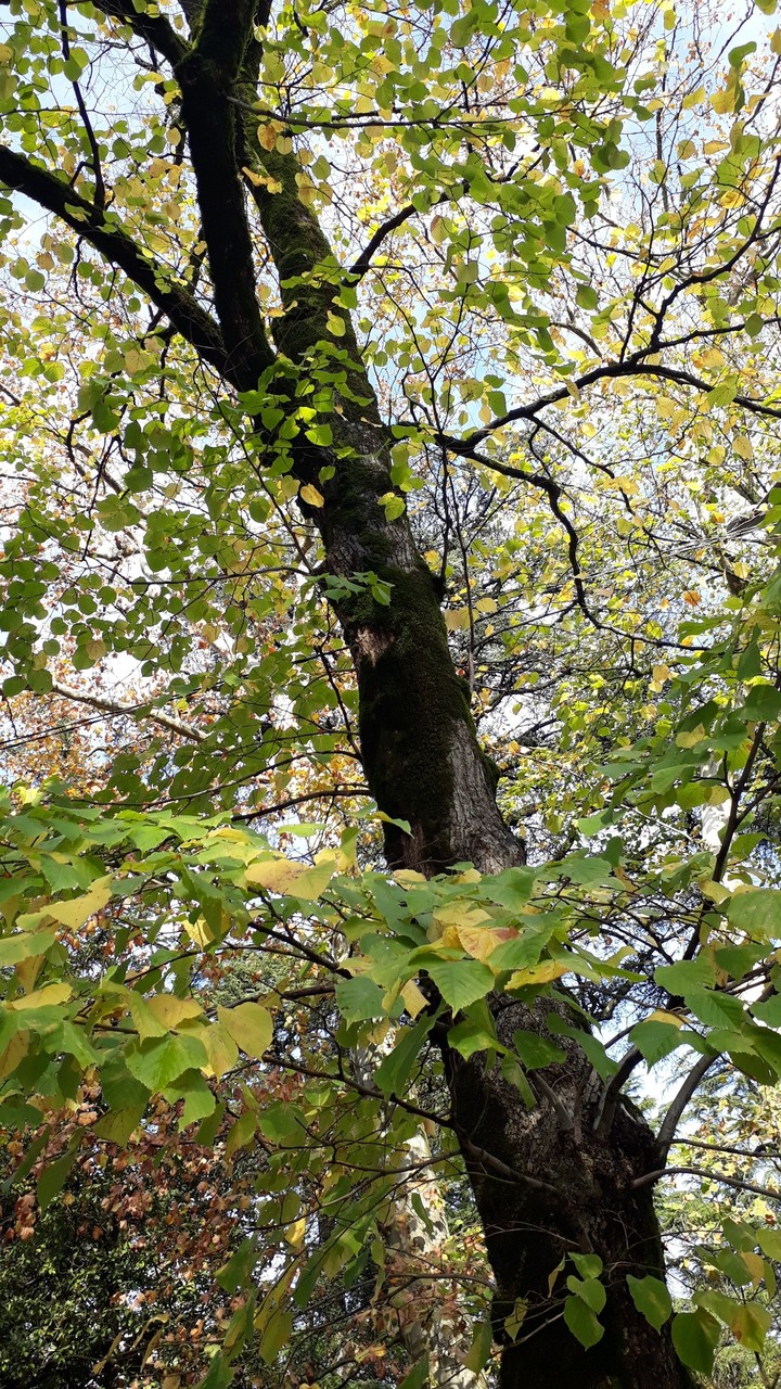 Autumn is my season