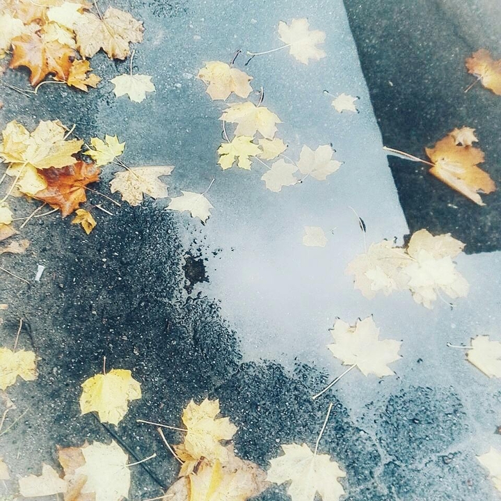 осень